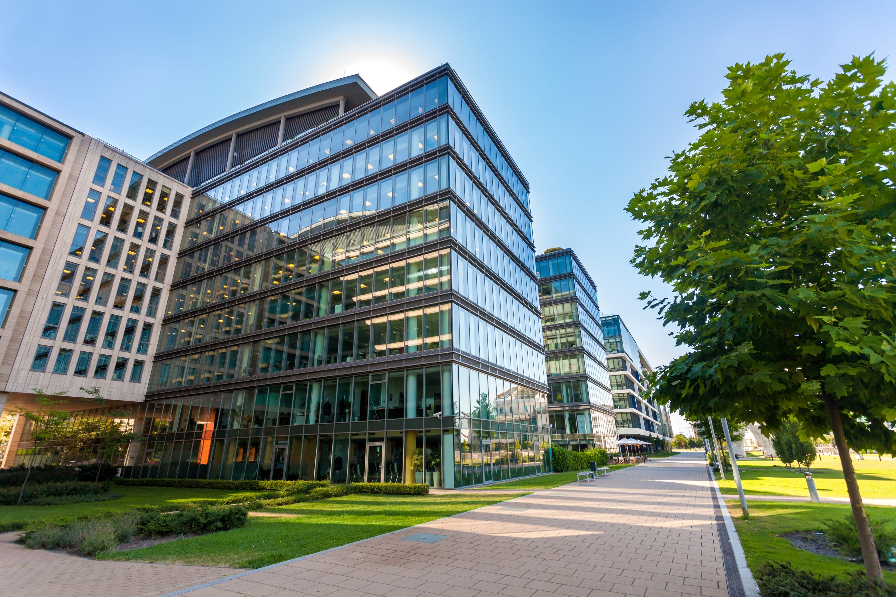 A mostly glass office building with trees and sidewalks in front of it.